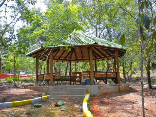 tree park 